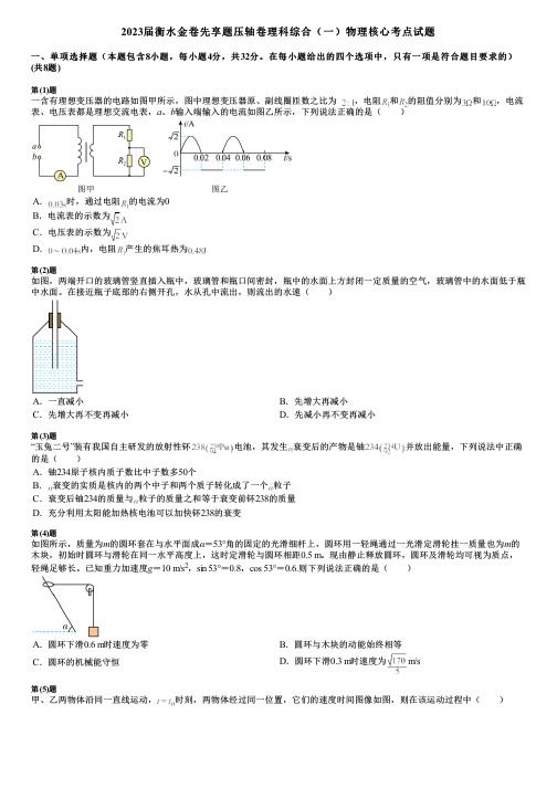 2023届衡水金卷先享题压轴卷理科综合(一)物理核心考点试题