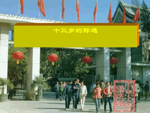 《十三岁的际遇》PPT(上课用)