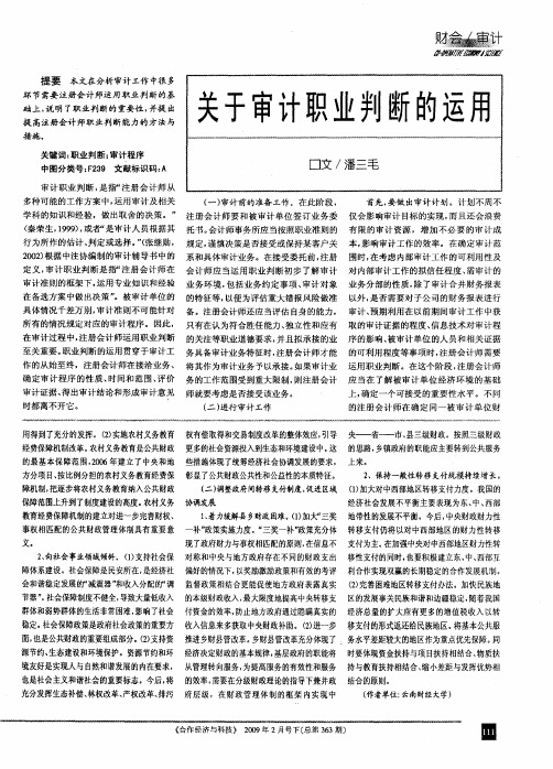 关于审计职业判断的运用