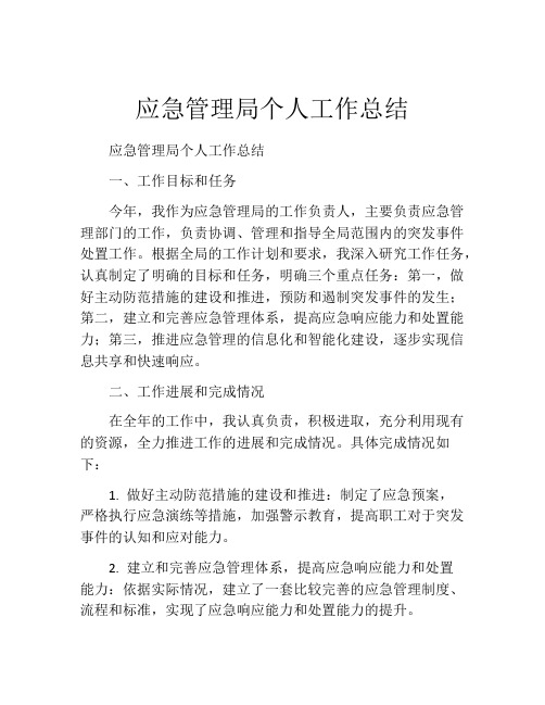 应急管理局个人工作总结