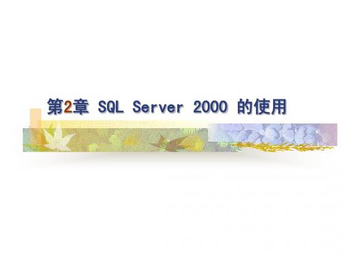 数据库应用第2章 SQL Server 2000 的使用