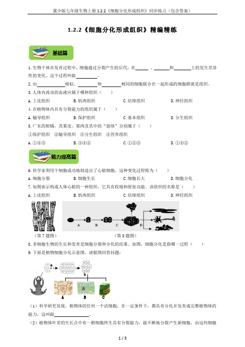 冀少版七年级生物上册1.2.2《细胞分化形成组织》同步练习(包含答案)