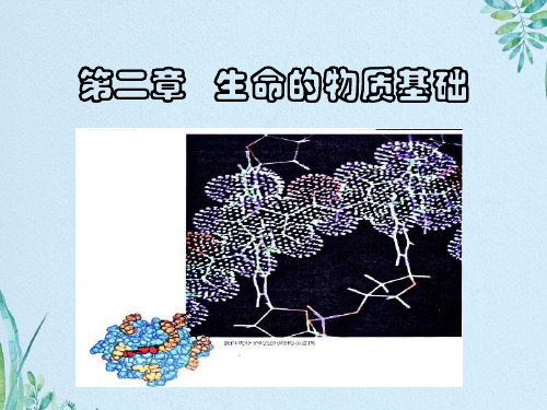 高中生物第一册第2章生命的物质基次件1沪科版