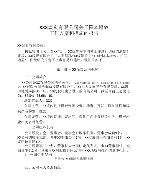 XX煤炭有限公司关于降本增效工作计划的报告