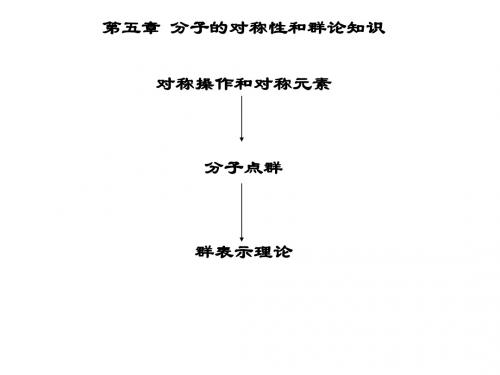 第五章  分子的对称性和群论知识