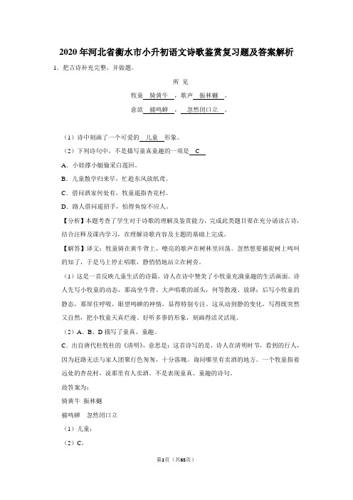 2020年河北省衡水市小升初语文诗歌鉴赏复习题及答案解析