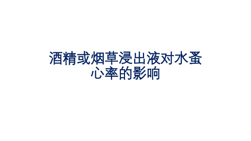 初中生物实验突破(通用版)：酒精或烟草浸出液对水蚤心率的影响课件