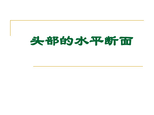 【解剖学课件】-头部的水平断面PPT