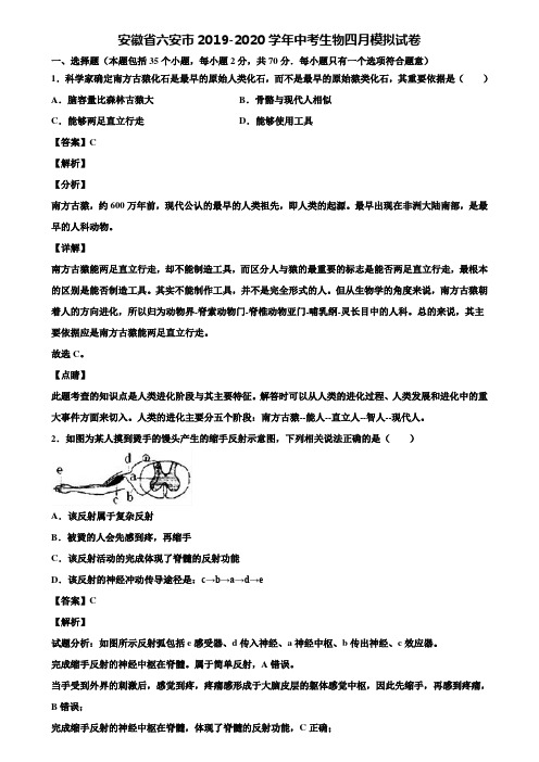 安徽省六安市2019-2020学年中考生物四月模拟试卷含解析