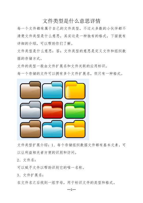 文件类型是什么意思详情