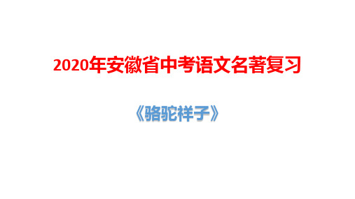 2020年安徽省中考语文名著复习：《骆驼祥子》