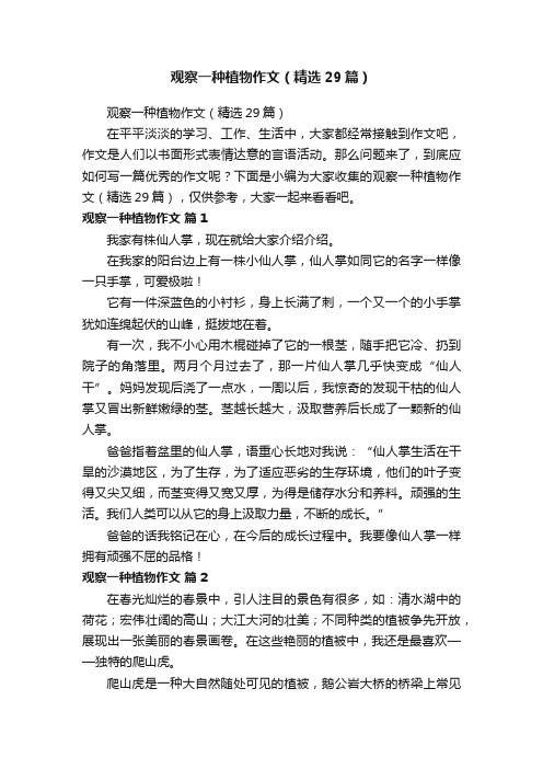 观察一种植物作文(精选29篇)