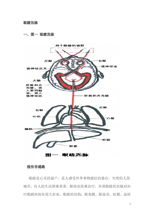 眼睛炁脉