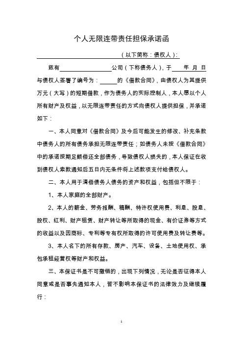 实际控制人个人无限连带责任担保承诺函 2