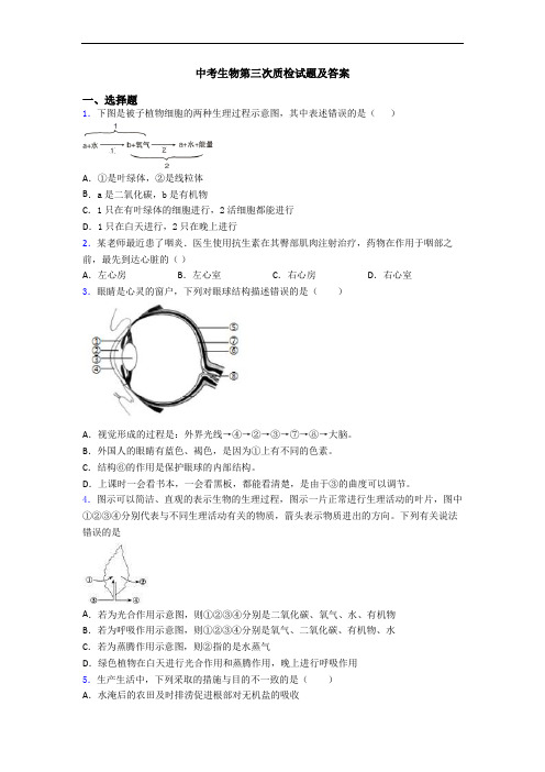 中考生物第三次质检试题及答案