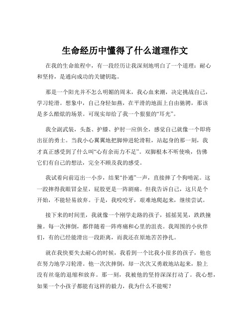 生命经历中懂得了什么道理作文