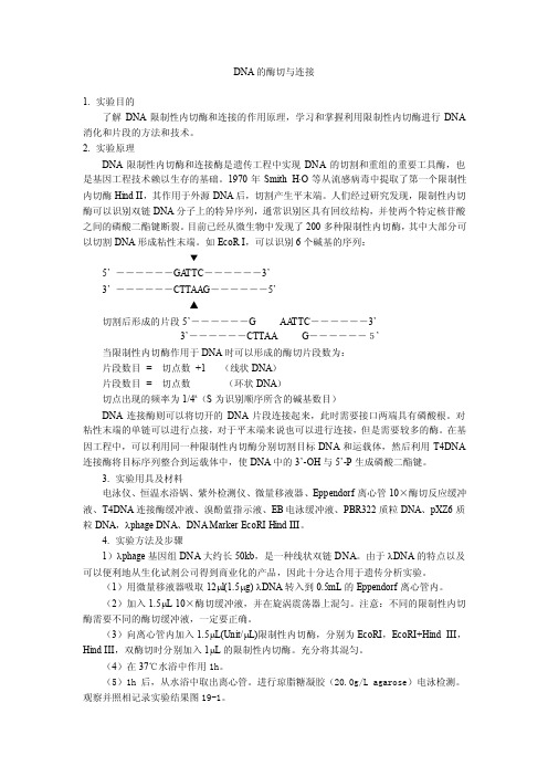 DNA的酶切与连接1.实验目的了解DNA限制性内切酶和连接的作用...