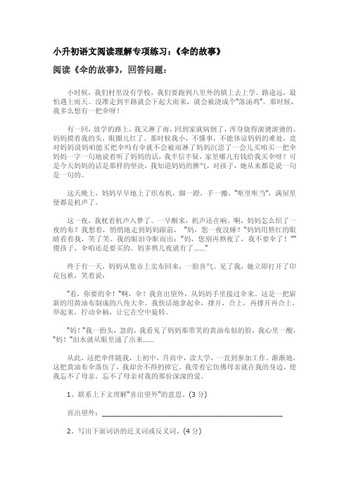 小升初语文阅读理解专项练习：《伞的故事》