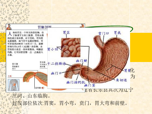 胃癌术后并发症的相关护理_【PPT课件】