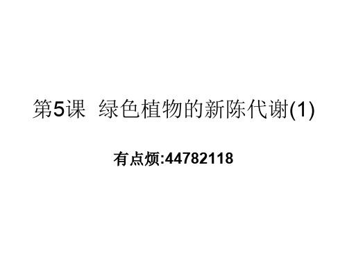 九年级科学绿色植物的新陈代谢2(新编201910)