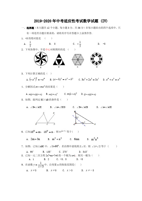 2019-2020年中考适应性考试数学试题 (IV)