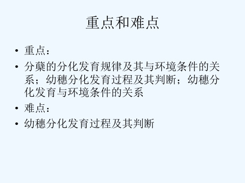 水稻的生长发育特点