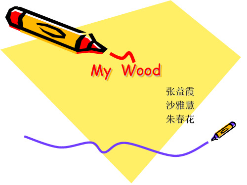 my wood我的小树林