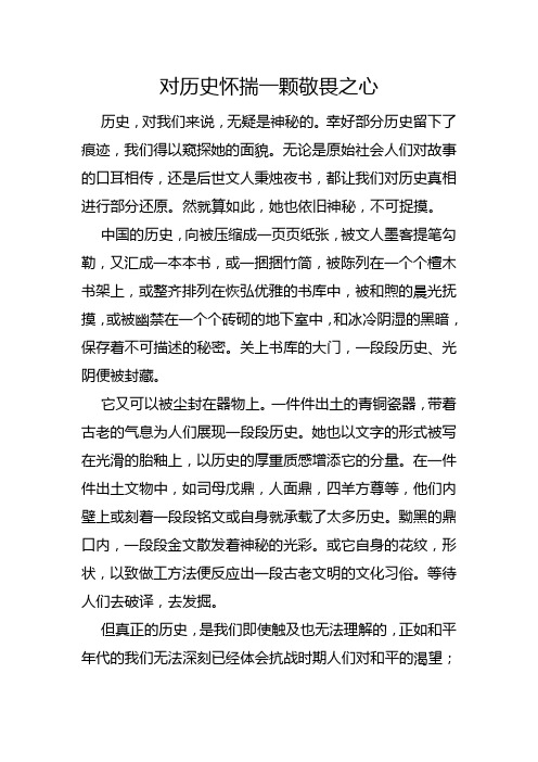 高中作文:对历史怀揣一颗敬畏之心