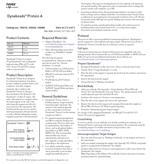 protein A磁珠免疫沉淀DynabeadsProteinA_man