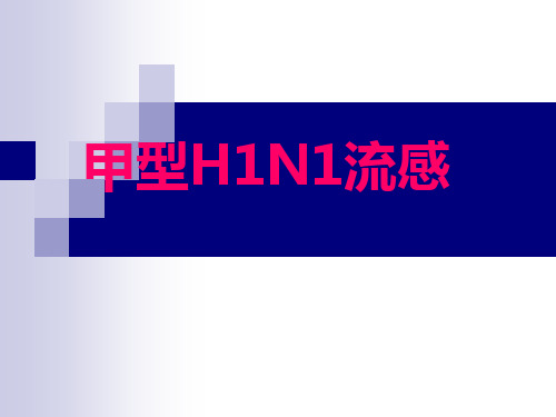 甲型H1N1流感