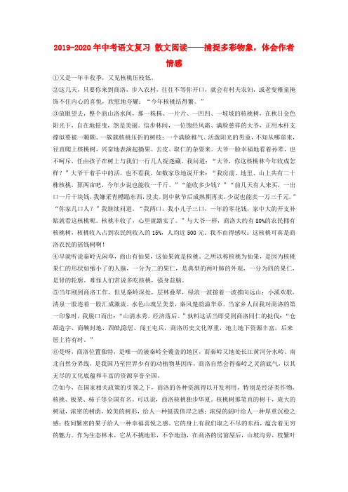 2019-2020年中考语文复习 散文阅读——捕捉多彩物象,体会作者情感