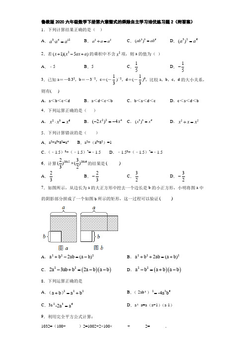 鲁教版2020六年级数学下册第六章整式的乘除自主学习培优练习题2(附答案)