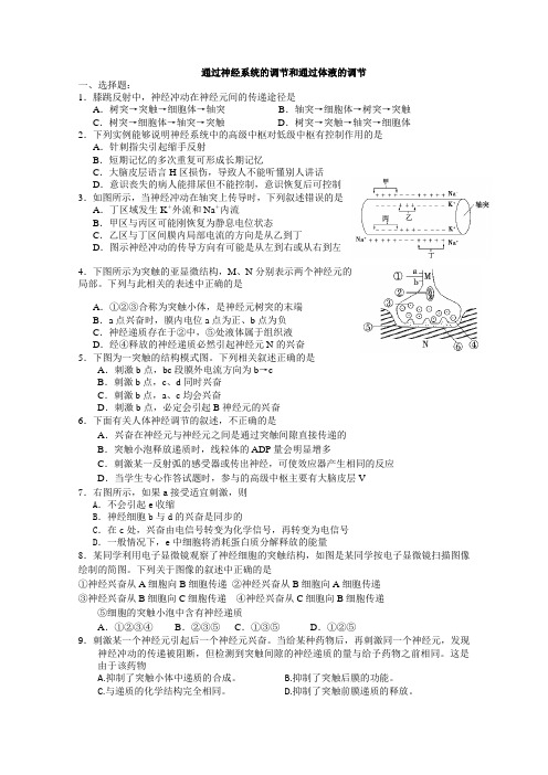 高中生物必修三测试题及答案--神经调节与激素调节