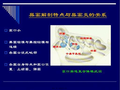 鼻和鼻窦CT解剖