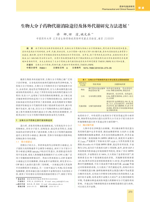 生物大分子药物代谢消除途径及体外代谢研究方法进展