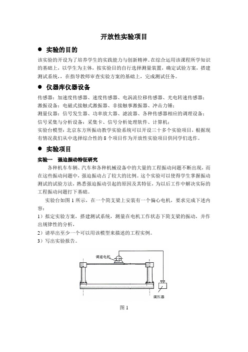 开放性实验项目