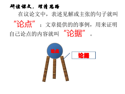 不求甚解 (1)