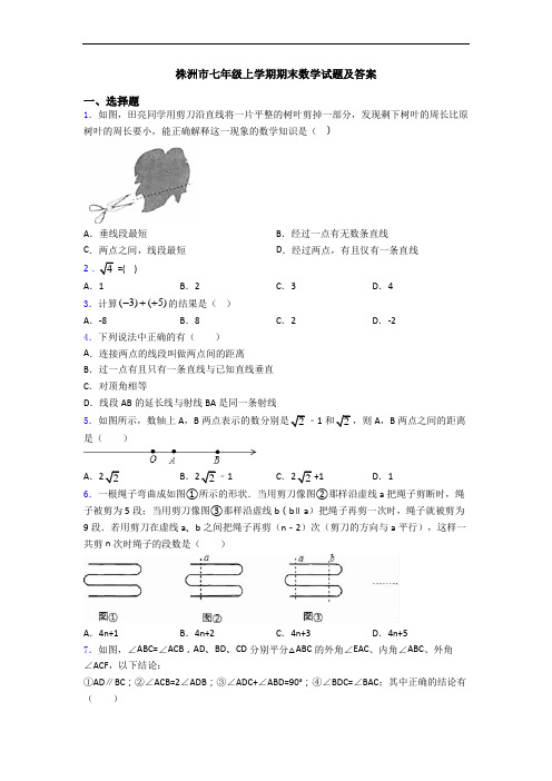 株洲市七年级上学期期末数学试题及答案