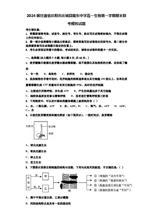 2024届甘肃省庆阳市庆城县陇东中学高一生物第一学期期末联考模拟试题含解析