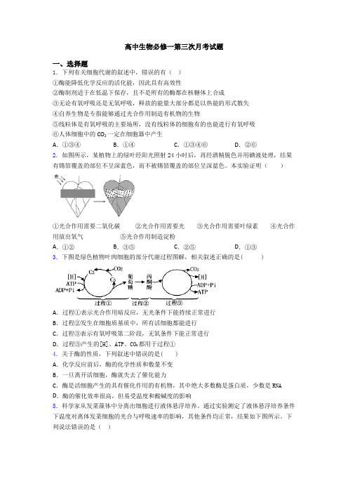 高中生物必修一第三次月考试题