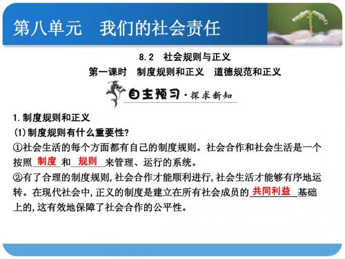 粤教版八年级下册第八单元第二课《社会规则与正义》第一课时 制度规则和正义 道德规范和正义