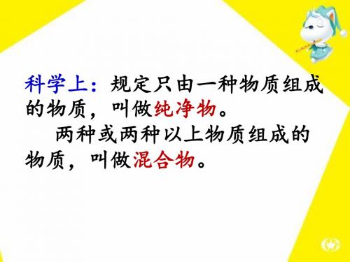 华师大版科学空气的成分课件