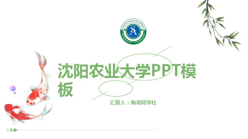 沈阳农业大学专用-毕业答辩-PPT模板4