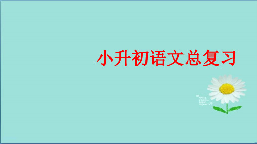 2020年小升初语文精选复习资料：小升初语文总复习句子1PPT课件