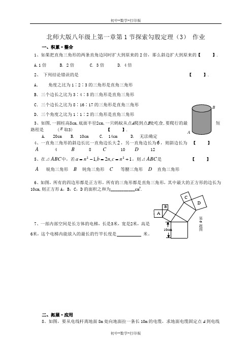 北师大版-数学-八年级上册-第一章第1节探索勾股定理(3) 作业