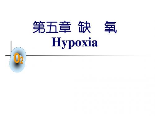 第五章缺氧Hypoxia