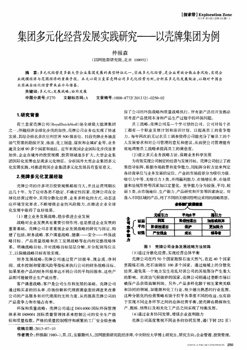 集团多元化经营发展实践研究——以壳牌集团为例