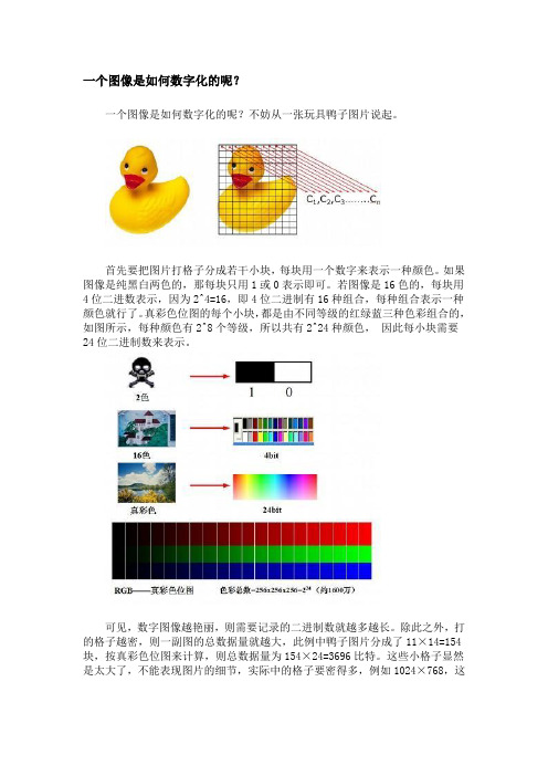 一个图像是如何数字化的呢？