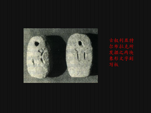 中学语文教育中的阅读教学