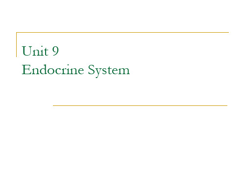 Unit 9 内分泌系统 Endocrine System 医学英语 临床医学